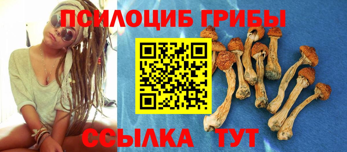 Ангарск  Псилоцибиновые грибы GOLDEN TEACHER  Вход с VPN 